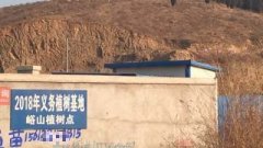 河北唐县一村支书被指以权谋私 背后疑有保护伞